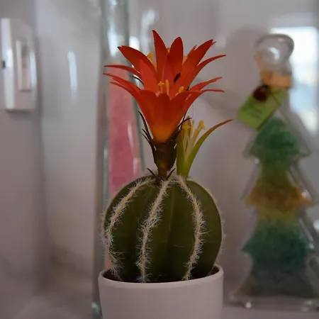 Luxurious Majda, 2 Bathrooms And Free Parking