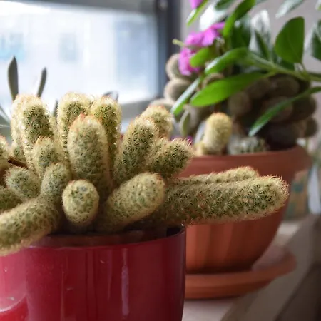 アパート Luxurious Majda, 2 Bathrooms And Free Parking スプリト