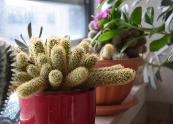 Lägenhet Luxurious Majda, 2 Bathrooms And Free Parking Split